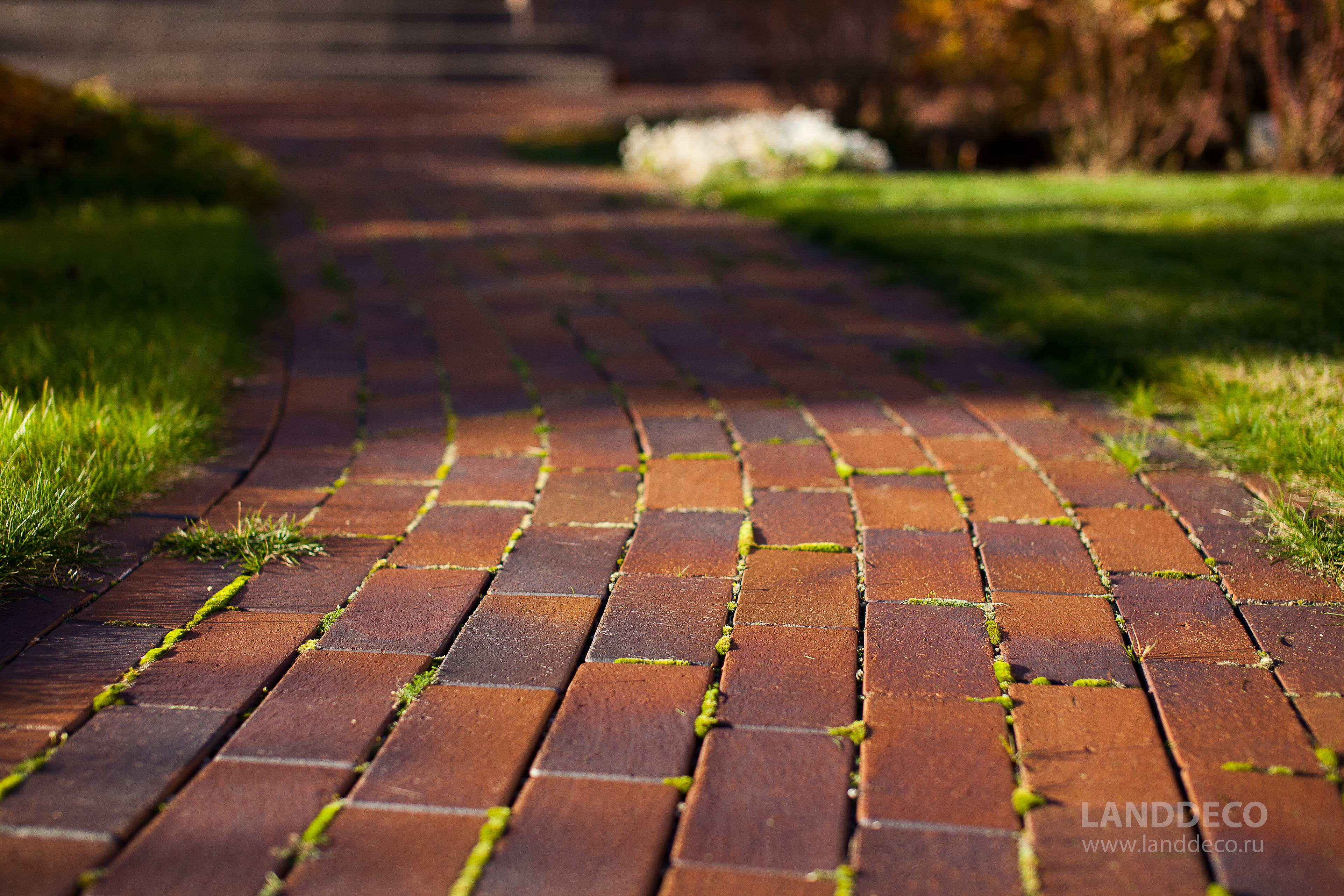IMG_1419 houzz